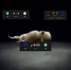 لهنت🥰  هههههههههههههههههههههههههههههههههههههههههههههههههههههههههههههههههههههههههههههههههههههههههههه  #الاهلي #الهلال #foryoupage #fyp 