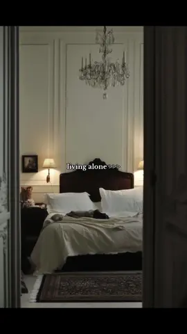 #livingalone #moodboard #chic #aesthetic #fyp 
