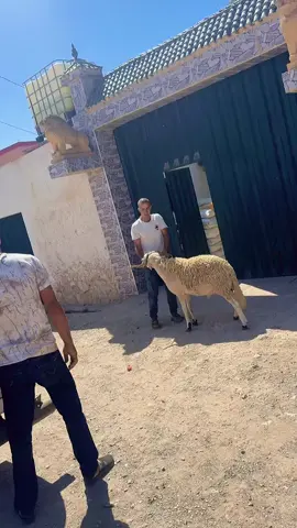 #khouribgaaa💯🇲🇦🥰 #fquih_ben_salah❤️🇲🇦khorbga 