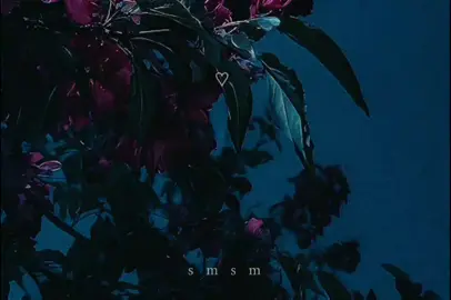 يا أحلى قراااار أنا أخذته 💕#فوريو #فوريوو #يا_عمر_جديد #الشعب_الصيني_ماله_حل😂😂 #لبنان_مصر_الخليج_سوريا 