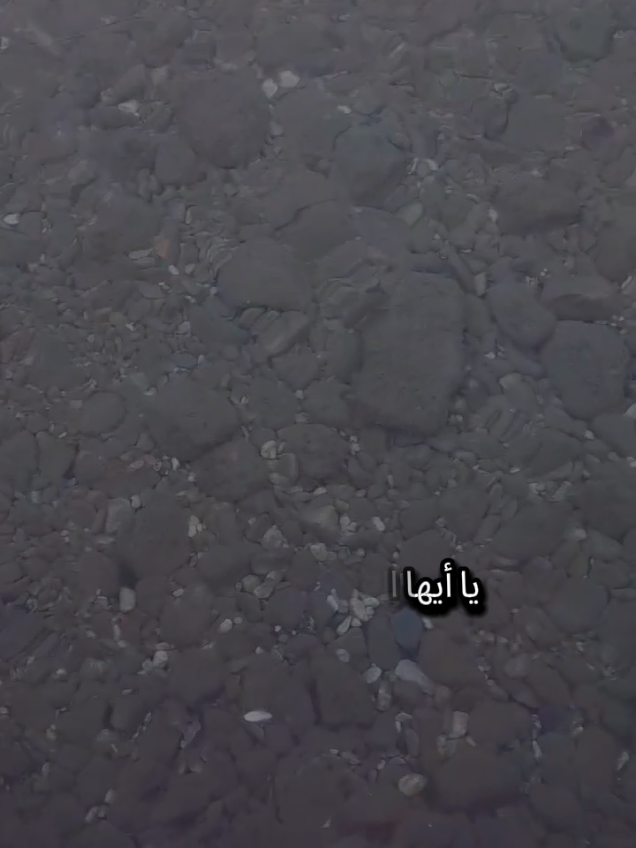 يا أيها العمر إطوي كتابي فما عاد هناك من يقف على بابي كبرت ورقعت ذكرياتي بثيابي #اسطنبول #تركيا #الغربة #شعروقصايد 