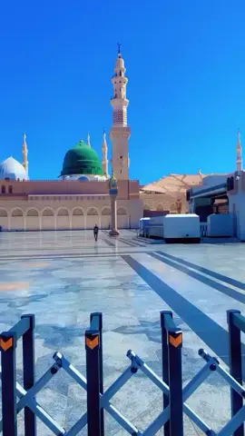 #حبيبي جمال في جمال🌹 #اللهم_صل_وسلم_على_نبينا_محمد  #اللهم_صل_وسلم_على_نبينا_محمد 