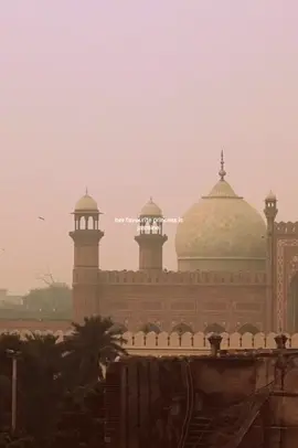 #fyp #aladin #jasmine #disneyprincess #arabiannights 