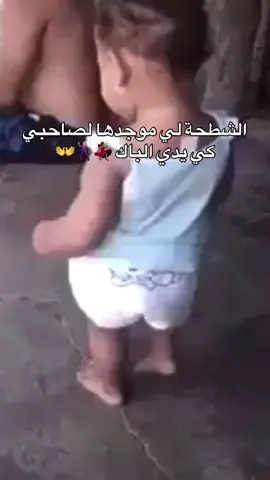 😂😂#محلي_تقرت_ورقلة🍯🍯🥀🥀♥♥🌹🦋🦋🦋🎹🎹 #sinoc56 