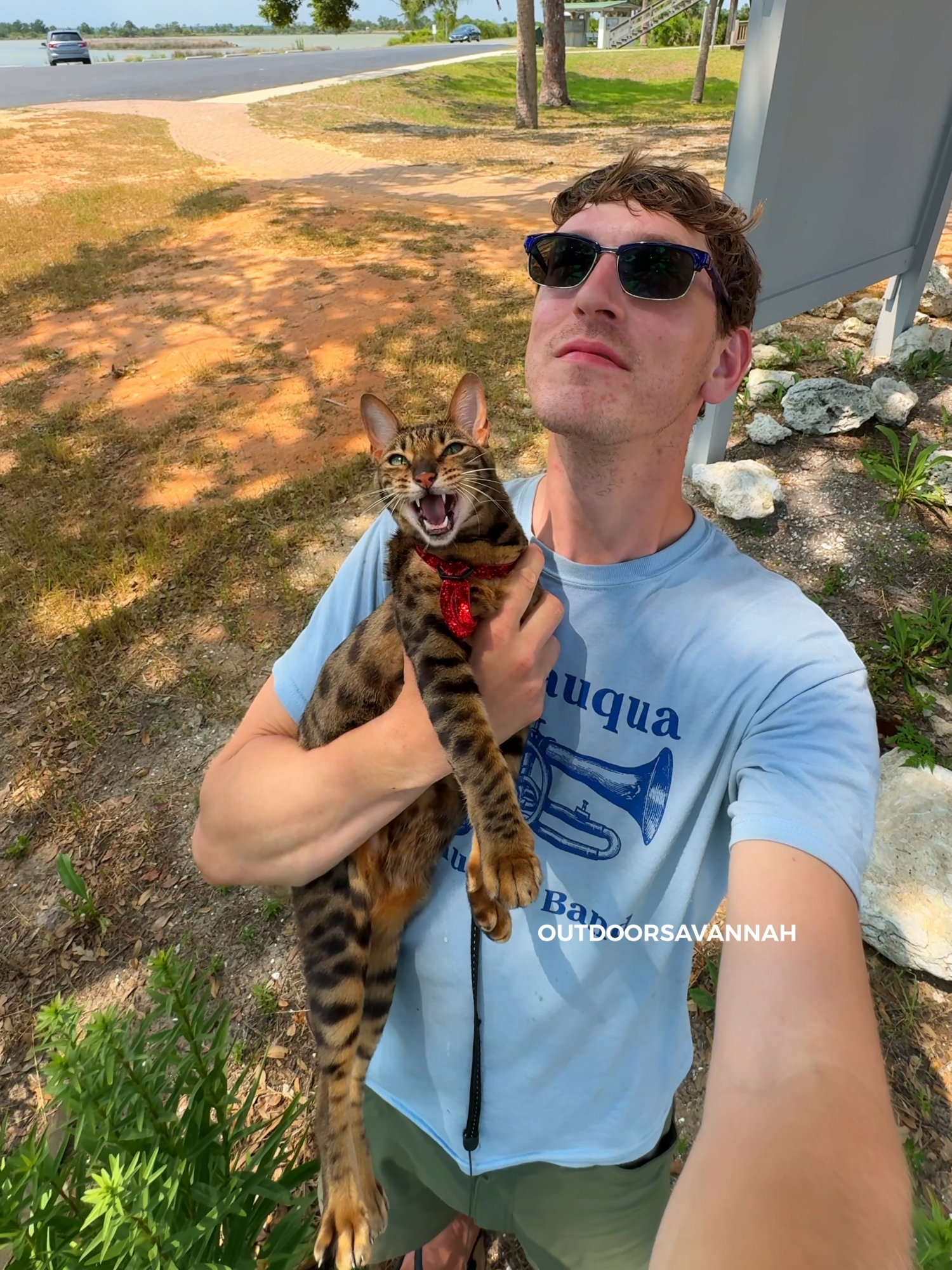 1. Birds talking with their mouths full 🐟 St. Marks Lighthouse in Florida 06.03.2025  2. Raja wants the birds 😼 St. Marks Lighthouse in Florida 06.03.2025  3. Chirpy kitties get kisses 📍 St. Joseph Peninsula, Florida 06.03.2025  4. Ekkin' Chin Scratches 😺 05.28.2025  5. A bug breaks her ekking focus 📍 St. Joseph Bay, Florida 06.02.2025  #rajaanddavid#cat