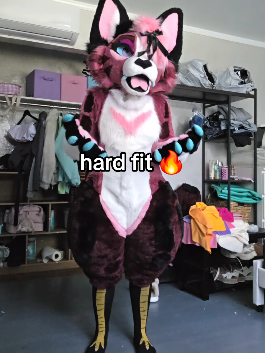 These socks are my entire personality now. #furry #fursuit #fursuiter #furryfandom #furrycommunity