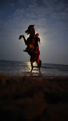 ⁨	هدوء قبل العاصفة 🔥🐎 ——— ‎سواء كنت مبتدئًا أو لديك خبرة سابقة، جلسات التدريب معي  ‎مصممة خصيصًا لمساعدتك على التوازن، التحكم، وكسر حاجز الخوف حتى تصبح فارسًا بكل معنى الكلمة. ‎📩 للتفاصيل والحجز، تواصل معي مباشرة ‎‏‪+971 50 886 0136‬ #horseriding #equestrian #equine #horses #horsegirl ⁩⁩