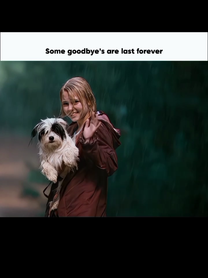 Some goodbye's are last forever #tik_tok #foryoupage❤️❤️ #bridgetoterabithia #bridgetoterabithiaedit 
