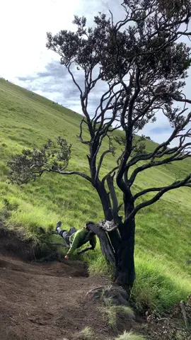 with u kapan??🥺#merbabu3142mdpl #fyp #galaubrutal #merbabu