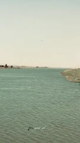 دور صديق الوفي #مشاهدات_تيك_توك 