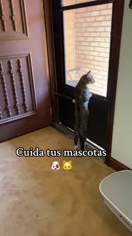 #LIVEIncentiveProgram #LIVEStory #PaidPartnership 