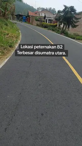 lokasi peternakan B2 terbesar disumatra utara yg dikelola oleh pihak swasta.  #Peternakan  #jalanjalan  #fyppppppppppppppppppppppp  #jangkauanluas  #semua 