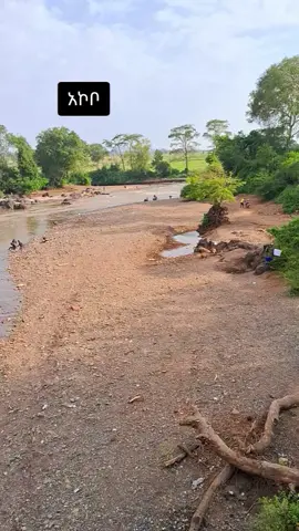 የበጋው አኮቦ #ጋምቤላ #ዲማ #ethiopian_tik_tok🇪🇹🇪🇹🇪🇹🇪🇹 #10kfollowers😭😭😭😭#የሹፌሮችድምፅ🇪🇹ክብር🇪🇹ለሹፌሮች🇪🇹 @Jon @ረቡኒ👑 @lami lami @yanet @kal___ab