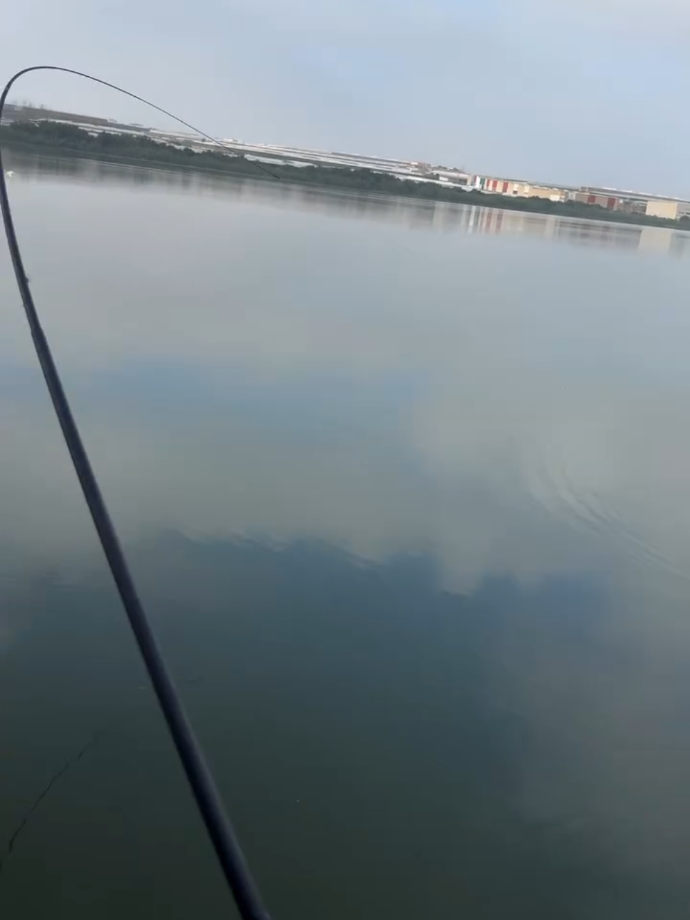 рыбалка #fish #fishing #рыбалка #охотаирыбалка 