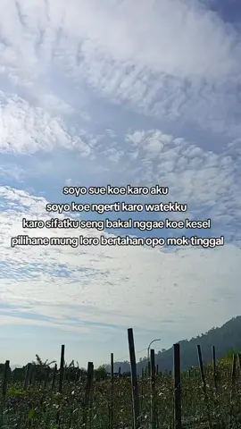 selagi koe kuat ngadepi aku, bakal tak usahano gae kebahagianmu. #jowopride #zmn14 #fyppppppppppppppppppppppp 