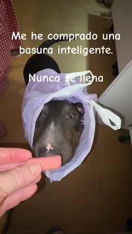 Me he comprado una basura inteligente. Nunca se llena 