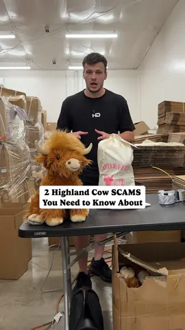 Here are the two scams you need to know about with buying a weighted highland cow. 