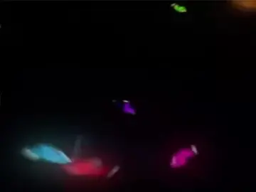 ချစ်စရာလေးဗျာသူက🤪💋 . . . #Maung #စာတို💯 #foryou #foryoupage @TikTok #viewတက်စမ်းကွာ👊 