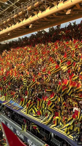 Maç öncesi tribünler coşkulu. #fenerbahçe #trabzon #derby #keremaktürkoğlu #fenerbahçe💛💙 