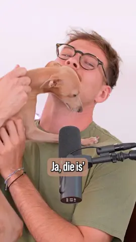 Poppy ist unsere liebste Sängerin 🥹 #dienervigen #dienervigenpodcast #juliabeautx #joeysjungle #podcast