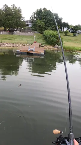 Had to put him in his place. #fishing #pike #pikefishing #bass #bassfishing 