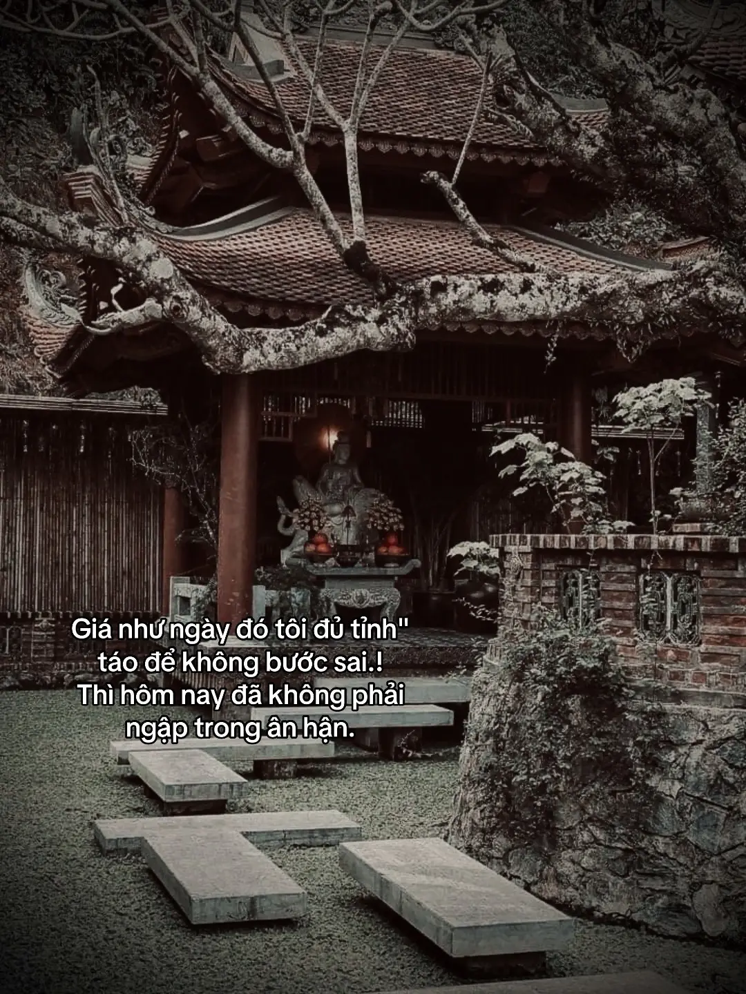 Giá như ngày đó tôi đủ tỉnh