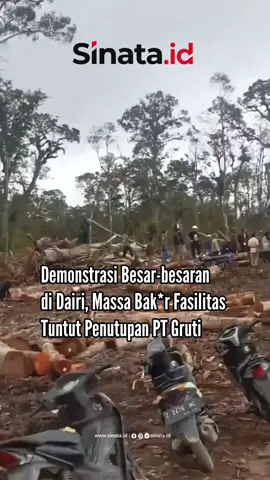 Ratusan warga di Kabupaten Dairi, Sumatera Utara, menggelar aksi besar-besaran. Puncaknya, Jumat, 12 September 2025, basecamp PT Gruti (Gunung Raya Utama Timber Industries) dibak*r massa.  Seluruh fasilitas perusahaan porak-poranda, belasan alat berat pun digiring keluar dari lokasi. Sejumlah ekskavator dipaksa keluar, digiring beberapa kilometer dari lokasi. Aksi dramatis ini dijaga ketat dua ratus personel kepolisian yang dipimpin langsung Kapolres Dairi AKBP Otniel Siahaan. - #Dairi #Sinataid #Gruti #Demonstrasi #Sumut