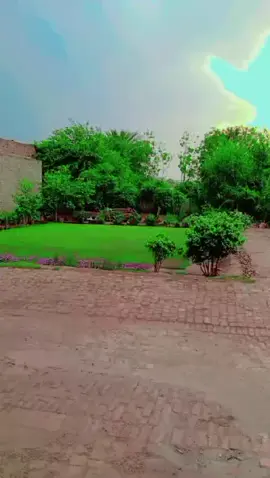 #tiktok #NaturalBeauti #inMyGarden#@Aban @Mehran Jutt @جیرڈ بھٹی @Aamir.786 