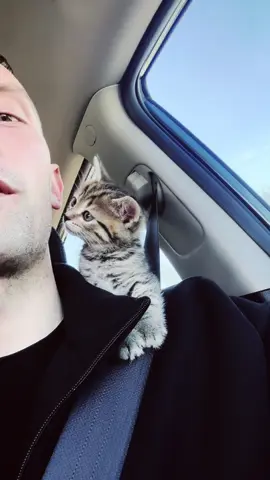 #😸 