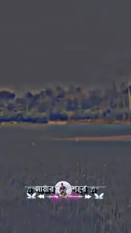 #duet with @❥︎𝄟≛⃝🕊মায়ার শহর🕊️⃟S≛⃝𝄞 #tiktok_support_all_tim❤ 