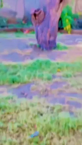 Kho 6 Shoot Me Nake❤️‍🔥✌️#dawarzai99🥀 #please_unfreeze_my_tiktok_acount #please_viral_this_video #fyppppppppppppppppppppppp @Afzal___dawar @💫Äšǐf Čômřâdê💫🇦🇫 