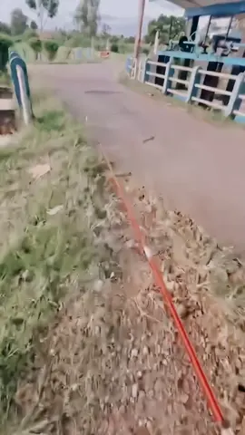 Dan waktu itu :( #masan_   | @dikadty 