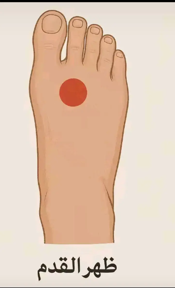 حجامة ظهر القدم