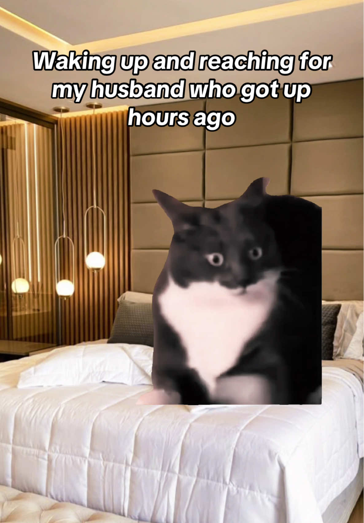 #Meme #MemeCut #fyp #foryou #foryourpage 