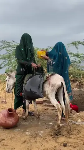 #بحرالنقاء #حياة_اهل_القرية #حياة_البساطه #اكسبلورexplore  