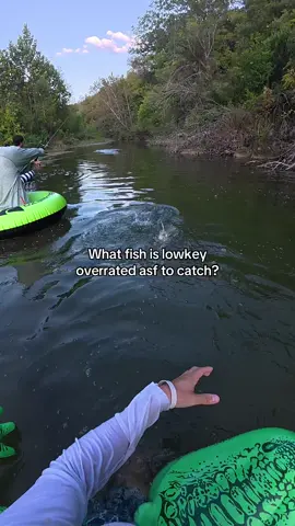 What fish would this be? #fishing #fishtok #fishingvideos 