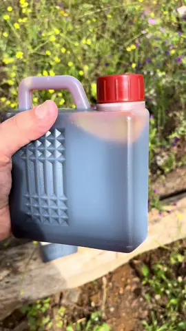 عسل حبة البركة السعودي 1كغ