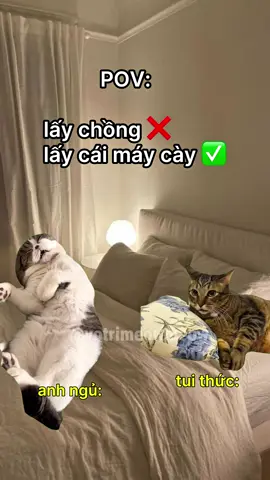 dính bẫy rồi 🙄