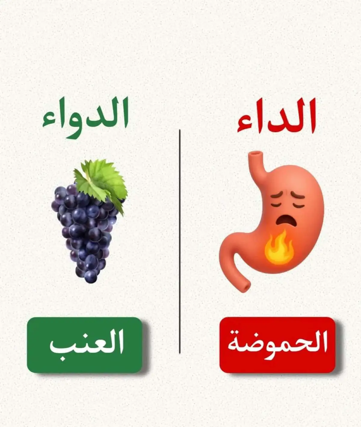 #معلومات #infoandfacts #معلومات_مفيده #معلومات_طبية #معلومات_عامة #معلوماتي #coach_sabah #المغرب🇲🇦 