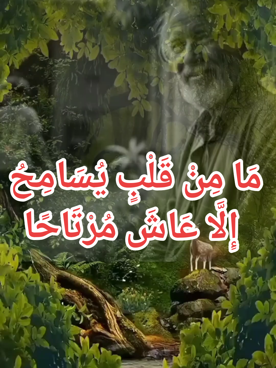 مَا مِنْ قَلْبٍ يُسَامِحُ إِلَّا عَاشَ مُرْتَاحًا. #استغفرالله #صلوا_على_رسول_الله 