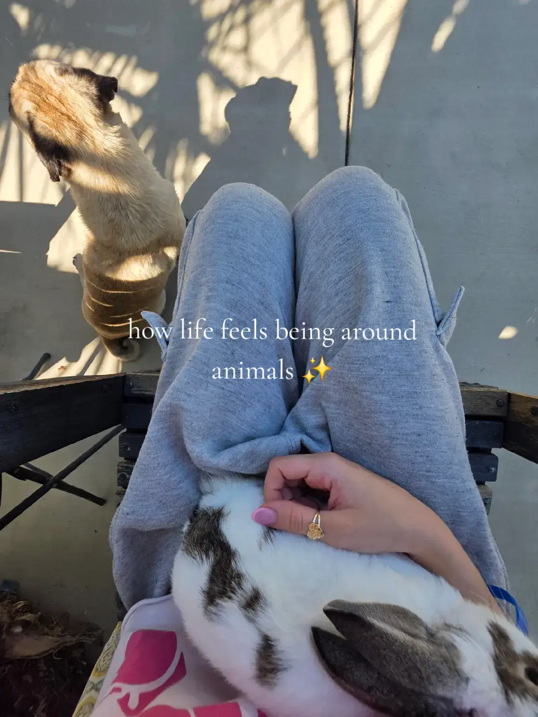 im at peace