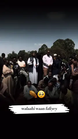 sii faafi ⚰️👉🥺