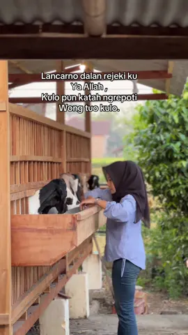 Pangestune wong tuo 🤲