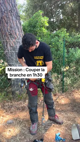#elagage #arbre #branche #escalade #travaux 