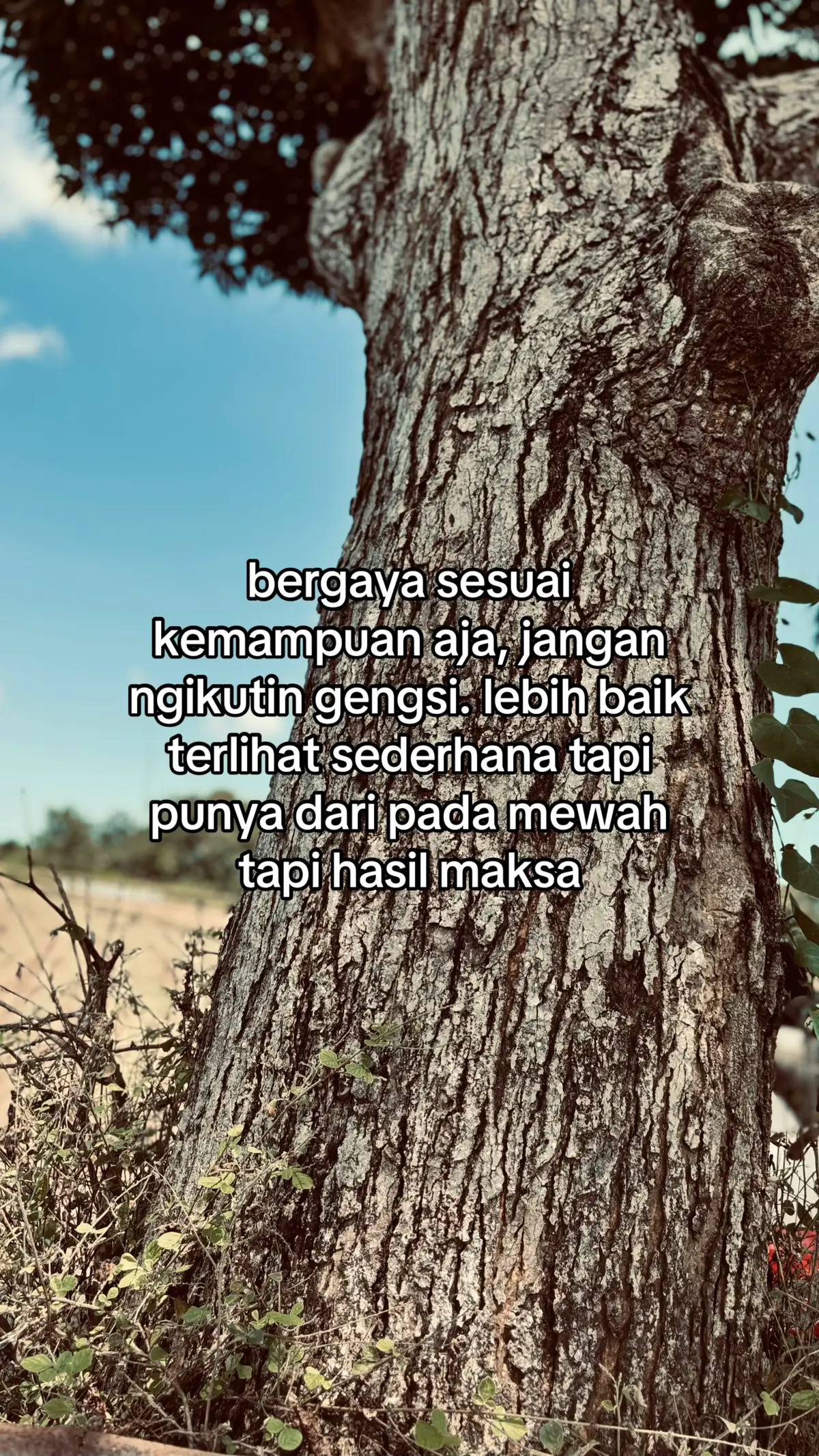 #xyzbca #foryou #fyp 