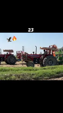 #385brand #viralvideo #unfrezzmyaccount #viraltiktok #foryou 