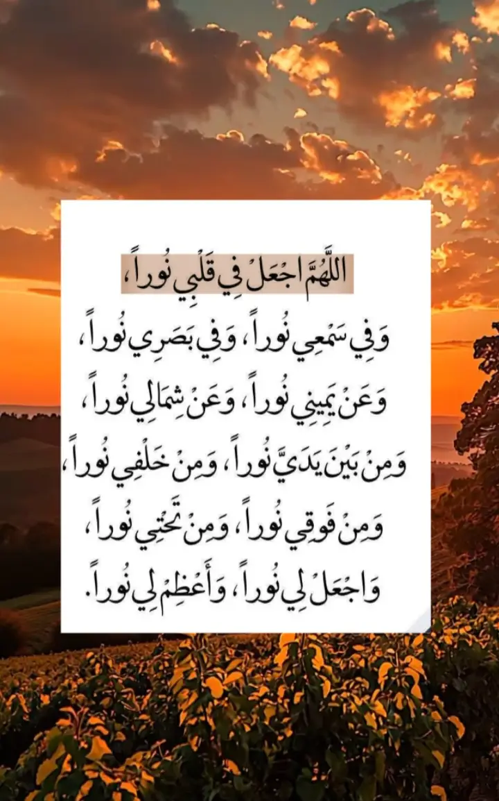 #_هاشتاقات، 
