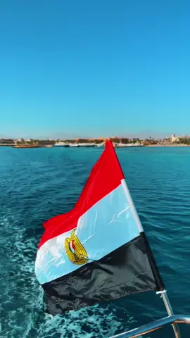 🌊🤿 Discover Hurghada! ✨ Dive • Explore • Enjoy 🚀 Join us now! #Hurghada #egypt #مصر #ام_الدنيا #Diving 
