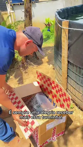 Chegando mais alevinos por aqui 🙏🐟 #TilápiaFresca #DoTanquePraMesa #SaúdeNaMesa #alevinos #alevinosjuvenildetilapia 