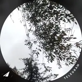 #клд #рек #fyp #бабуля #походочкаблатная 